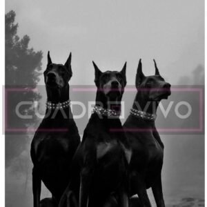 Nobles del Amanecer – Vigilia Eterna