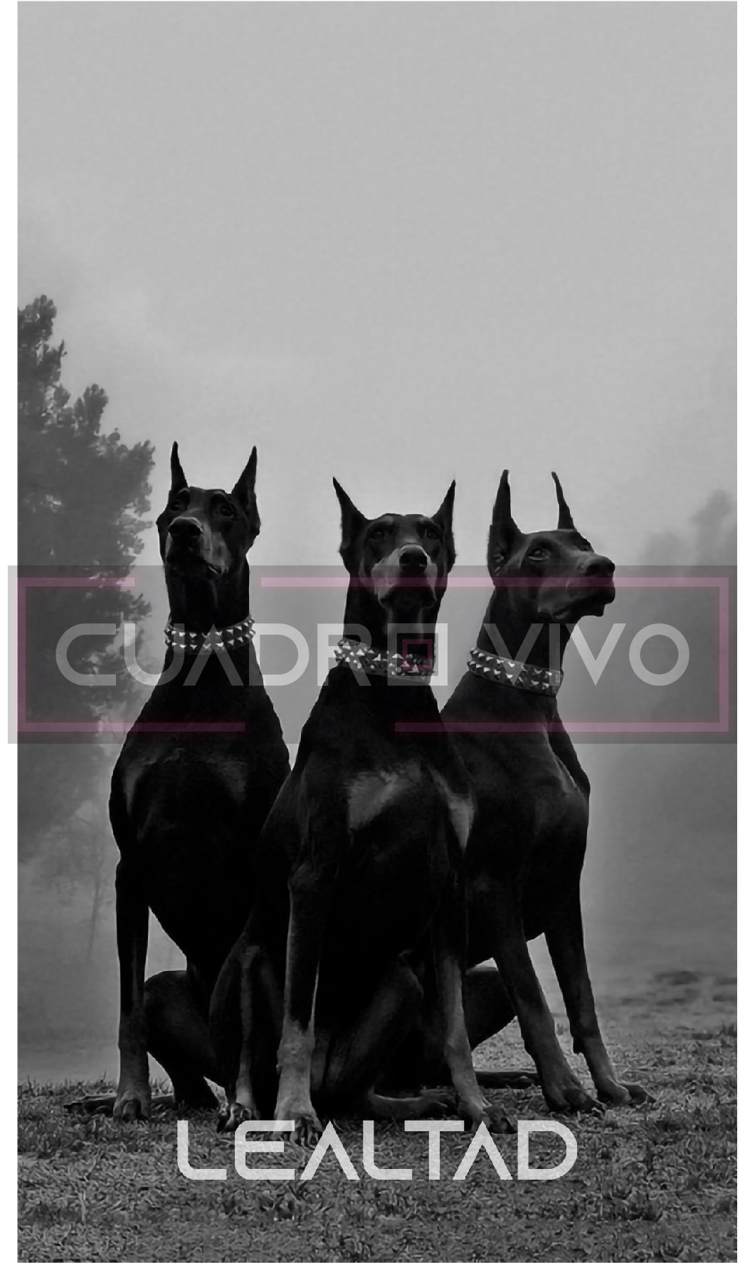 Nobles del Amanecer – Vigilia Eterna