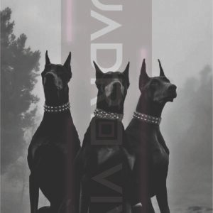 Doberman Elite – Guardianes del Poder