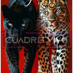 Sombra y Oro – La Belleza Indomable