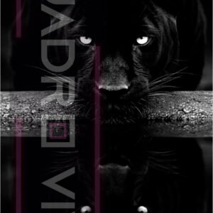 Sombras Gemelas – El Arte de Mirarse