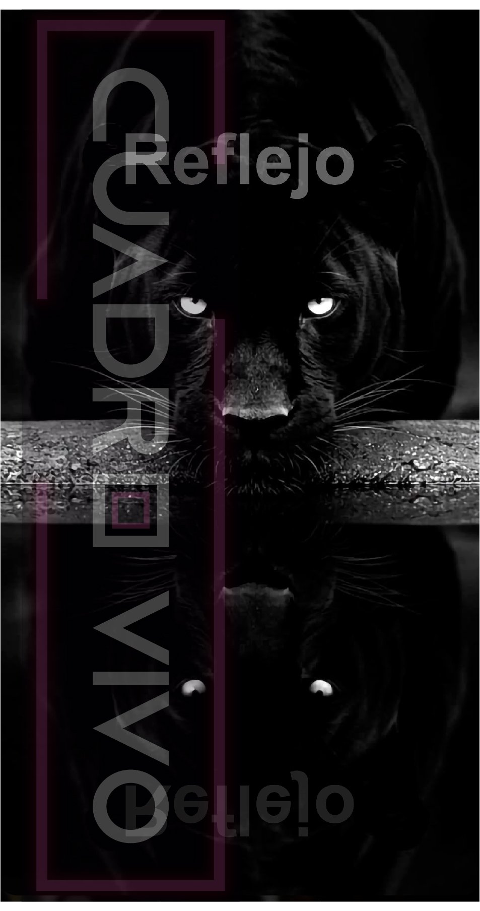 Sombras Gemelas – El Arte de Mirarse